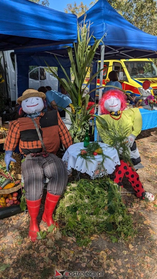 Świnia kontra Dzik w Przytułach Starych [11.08.2024] - zdjęcie #9 - eOstroleka.pl