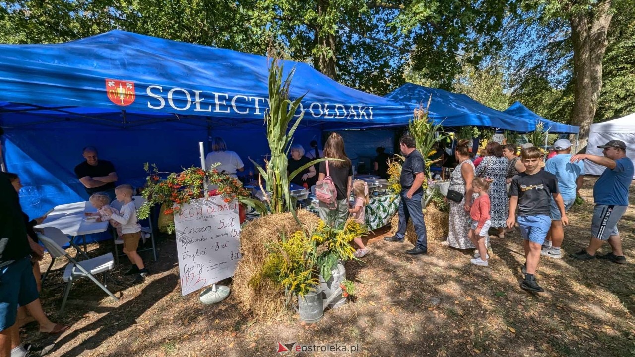 Świnia kontra Dzik w Przytułach Starych [11.08.2024] - zdjęcie #4 - eOstroleka.pl