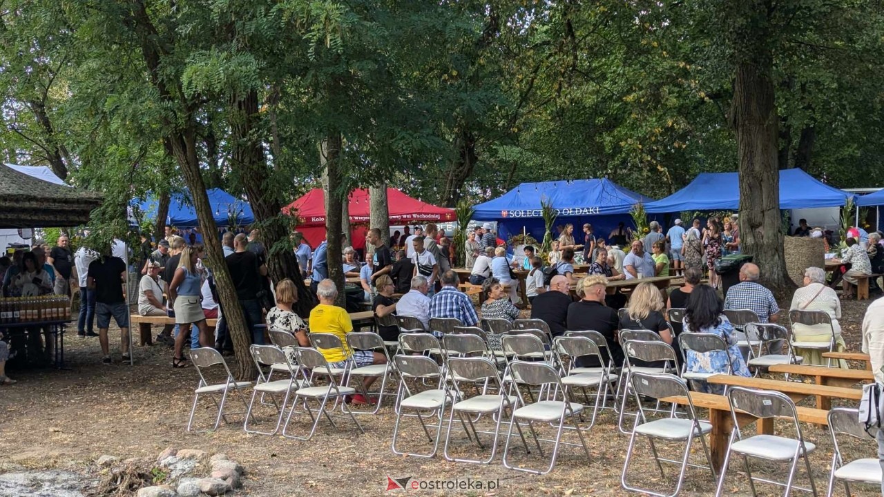 Świnia kontra Dzik w Przytułach Starych [11.08.2024] - zdjęcie #2 - eOstroleka.pl