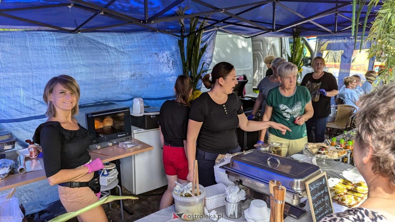 Świnia kontra Dzik w Przytułach Starych [11.08.2024] - zdjęcie #1 - eOstroleka.pl