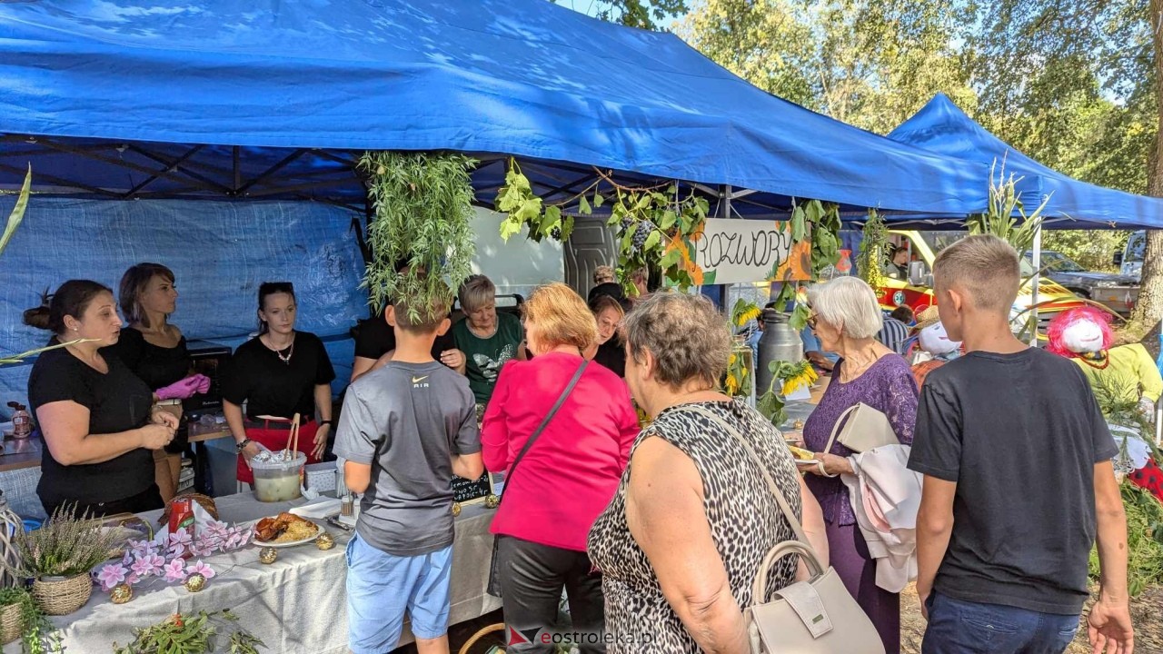 Świnia kontra Dzik w Przytułach Starych [11.08.2024] - zdjęcie #56 - eOstroleka.pl