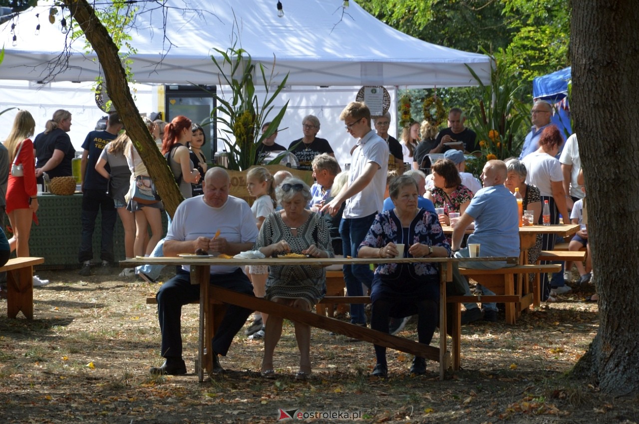 Świnia kontra Dzik w Przytułach Starych [11.08.2024] - zdjęcie #44 - eOstroleka.pl