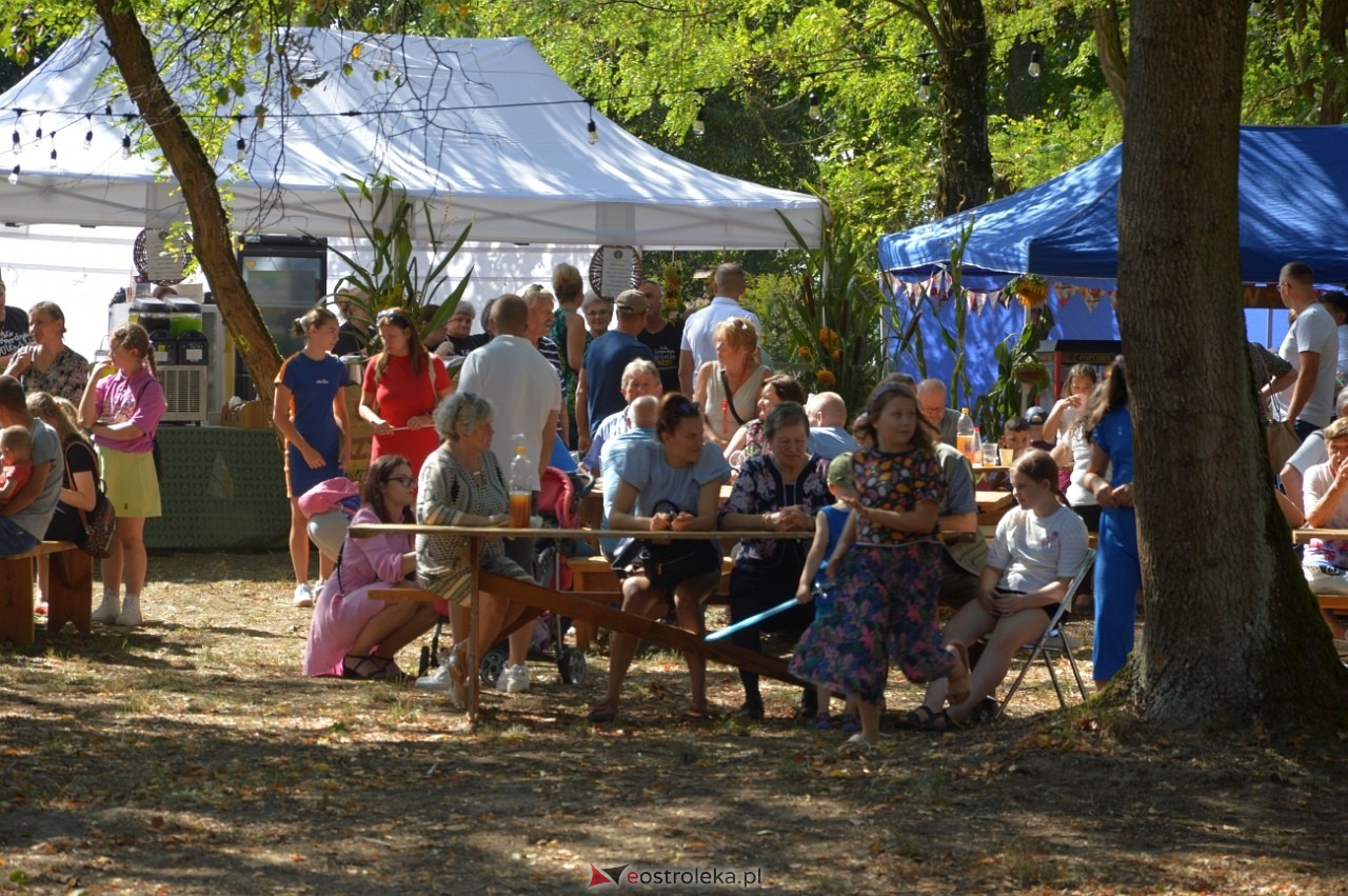 Świnia kontra Dzik w Przytułach Starych [11.08.2024] - zdjęcie #25 - eOstroleka.pl