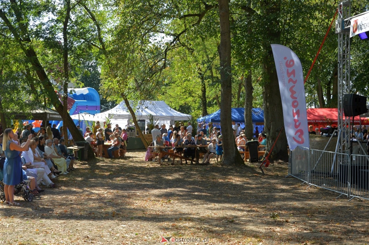 Świnia kontra Dzik w Przytułach Starych [11.08.2024] - zdjęcie #22 - eOstroleka.pl