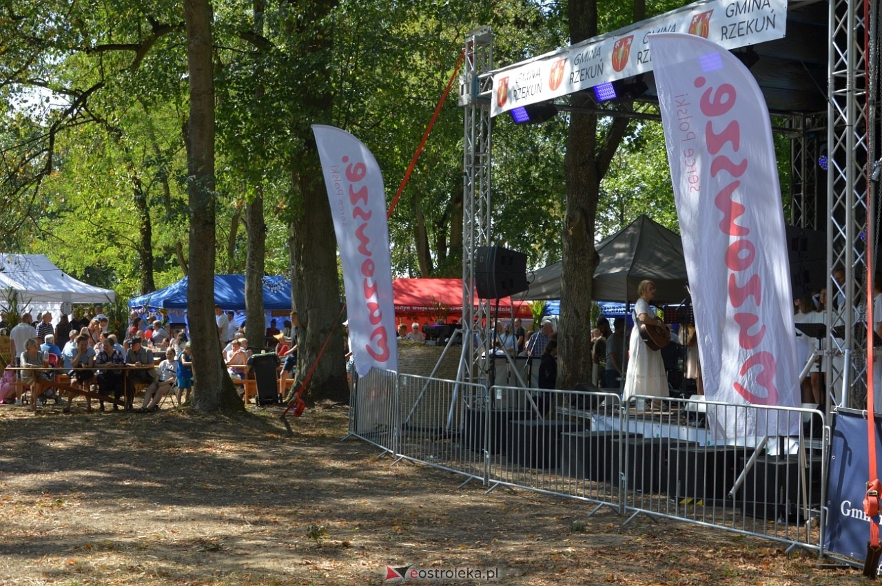 Świnia kontra Dzik w Przytułach Starych [11.08.2024] - zdjęcie #21 - eOstroleka.pl