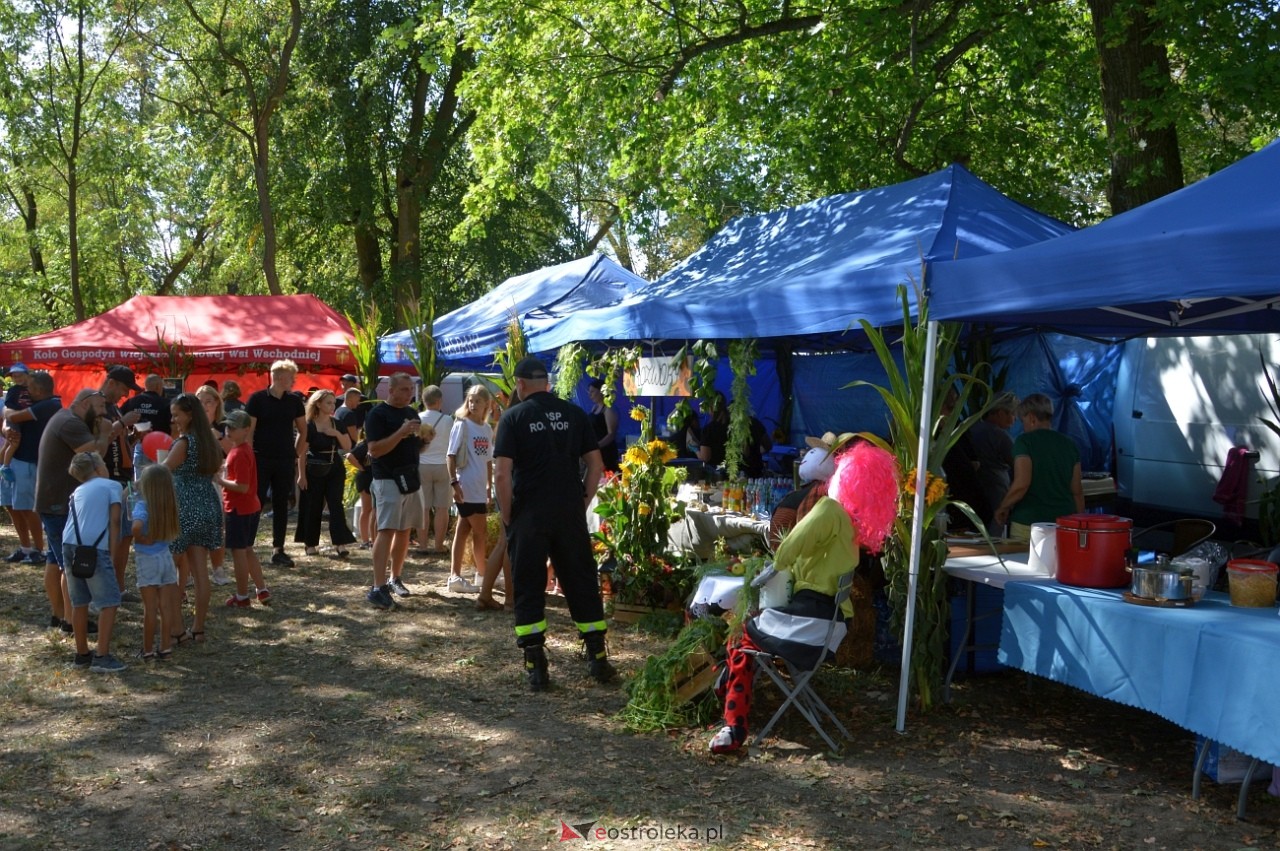 Świnia kontra Dzik w Przytułach Starych [11.08.2024] - zdjęcie #20 - eOstroleka.pl