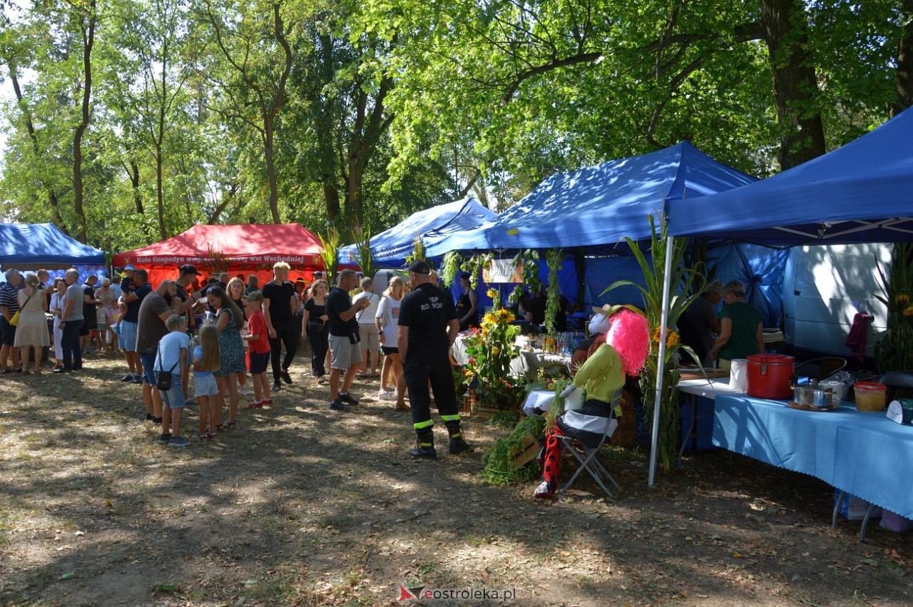 Świnia kontra Dzik w Przytułach Starych [11.08.2024] - zdjęcie #19 - eOstroleka.pl