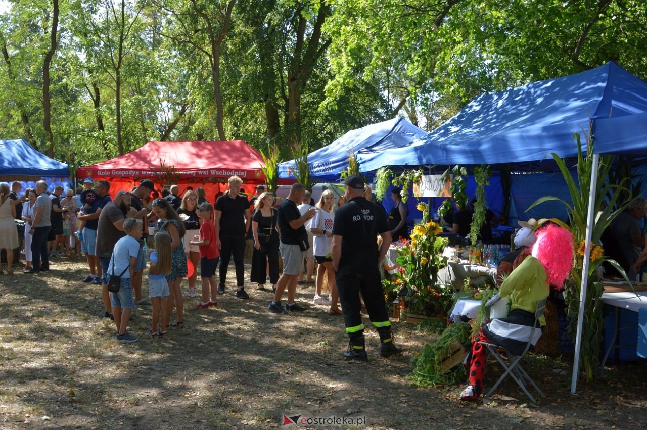 Świnia kontra Dzik w Przytułach Starych [11.08.2024] - zdjęcie #18 - eOstroleka.pl