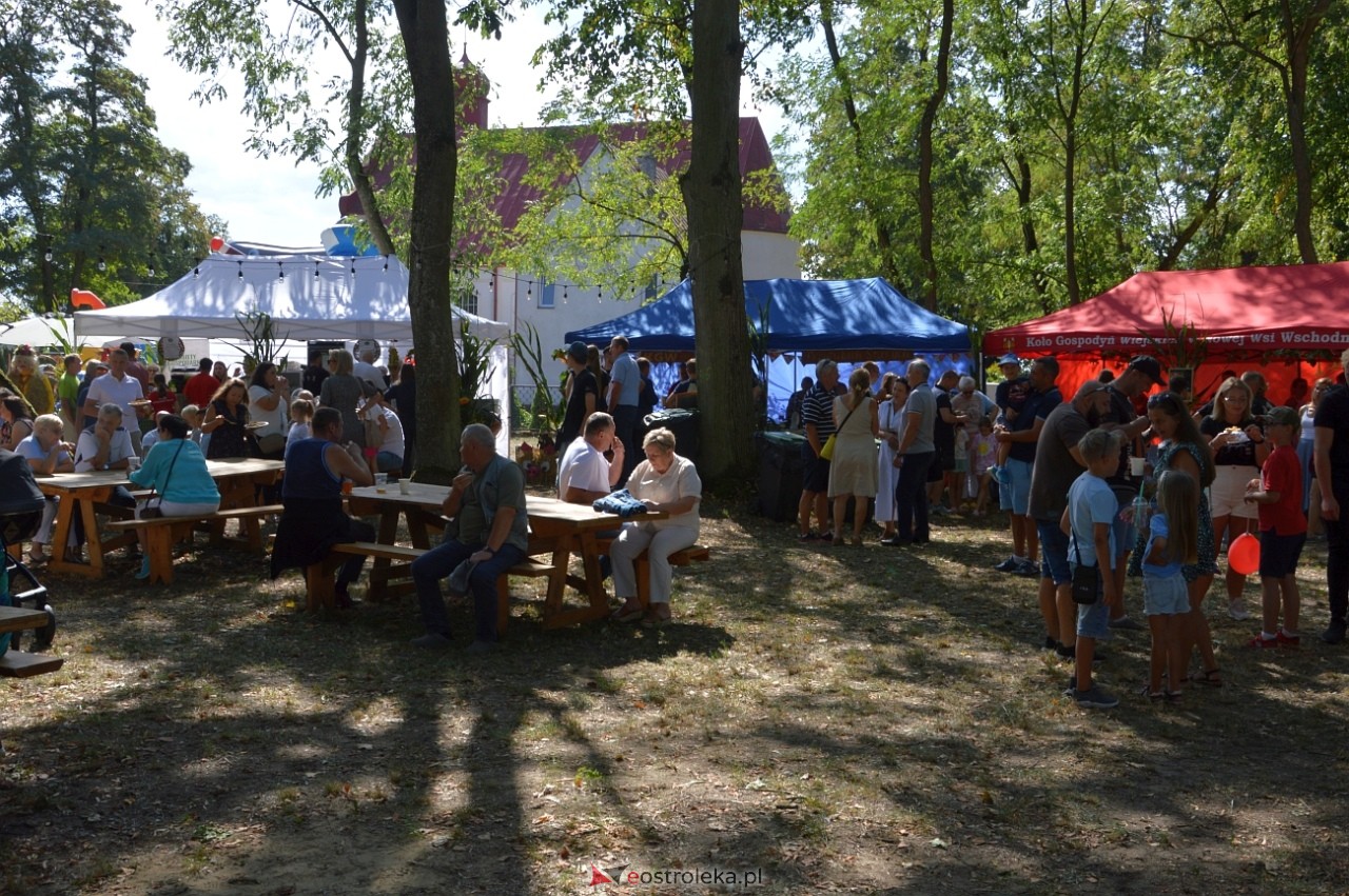 Świnia kontra Dzik w Przytułach Starych [11.08.2024] - zdjęcie #17 - eOstroleka.pl