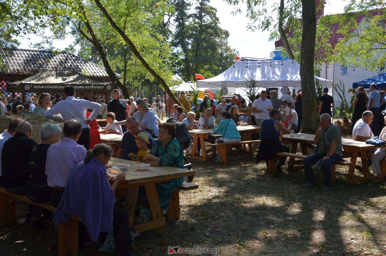 Świnia kontra Dzik w Przytułach Starych [11.08.2024] - zdjęcie #16 - eOstroleka.pl