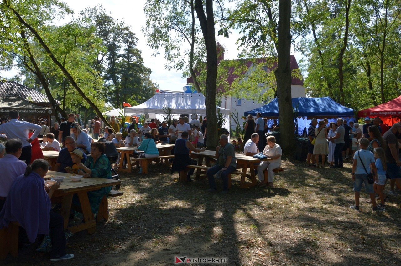 Świnia kontra Dzik w Przytułach Starych [11.08.2024] - zdjęcie #15 - eOstroleka.pl