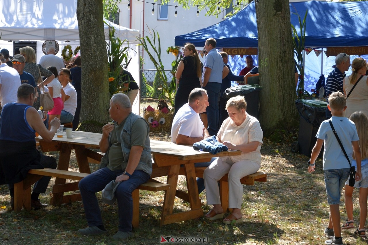 Świnia kontra Dzik w Przytułach Starych [11.08.2024] - zdjęcie #14 - eOstroleka.pl