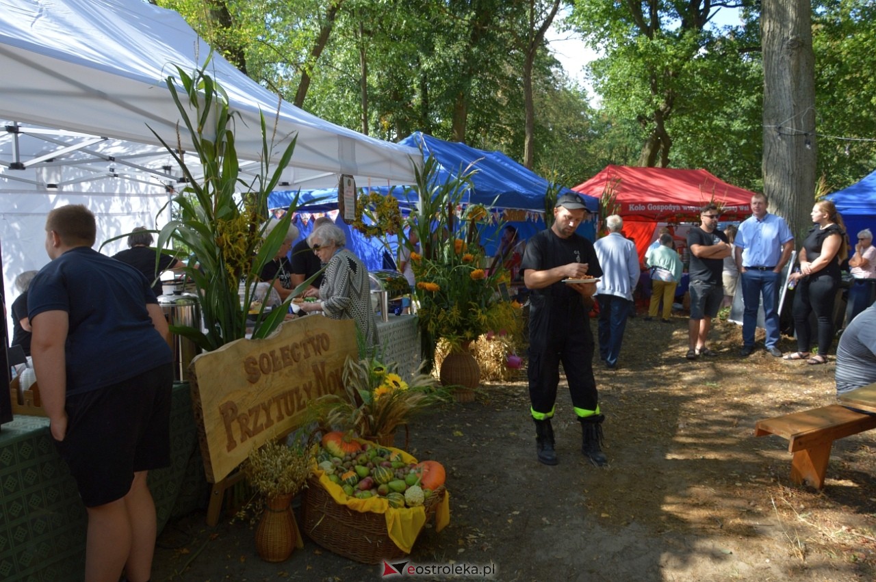 Świnia kontra Dzik w Przytułach Starych [11.08.2024] - zdjęcie #11 - eOstroleka.pl