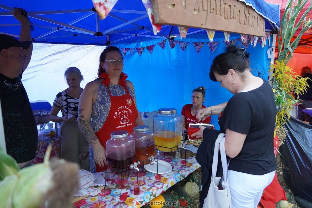 Świnia kontra Dzik - wieczorne koncerty [11.08.2024] - zdjęcie #80 - eOstroleka.pl