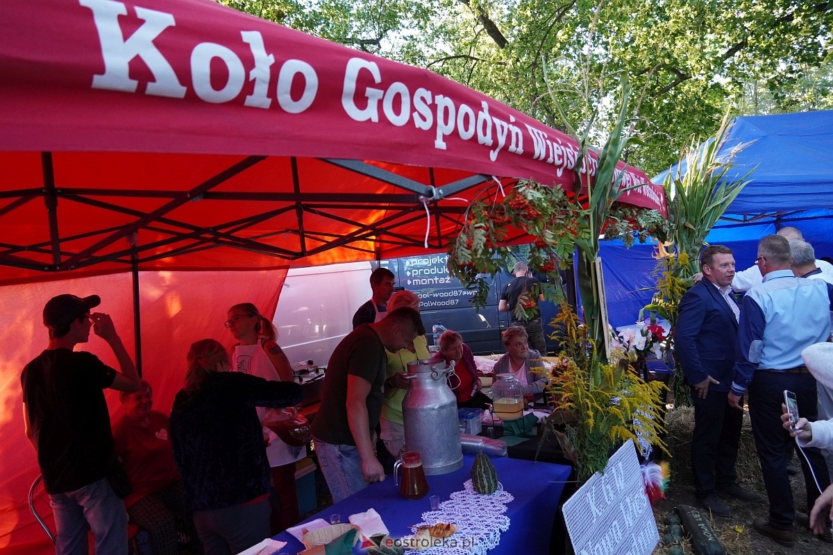 Świnia kontra Dzik - wieczorne koncerty [11.08.2024] - zdjęcie #79 - eOstroleka.pl