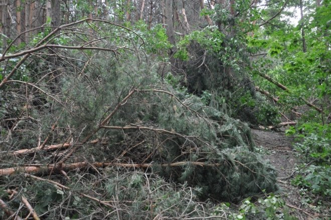 Kruszewo: Skutki nawałnicy (21 VII 2011) - zdjęcie #14 - eOstroleka.pl