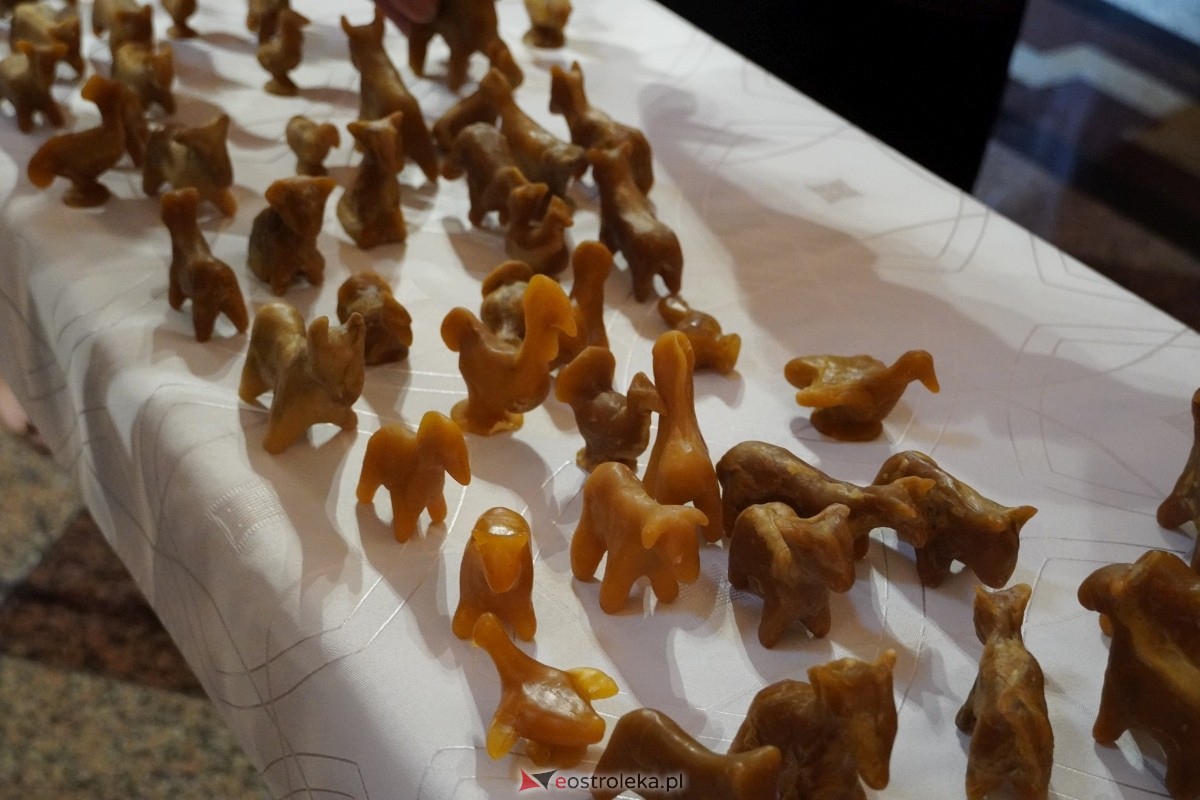 Odpust św. Rocha w Kadzidle [16.08.2024] - zdjęcie #39 - eOstroleka.pl