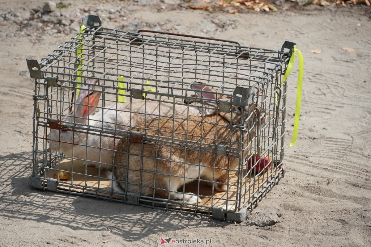 Odpust św. Rocha w Kadzidle [16.08.2024] - zdjęcie #21 - eOstroleka.pl