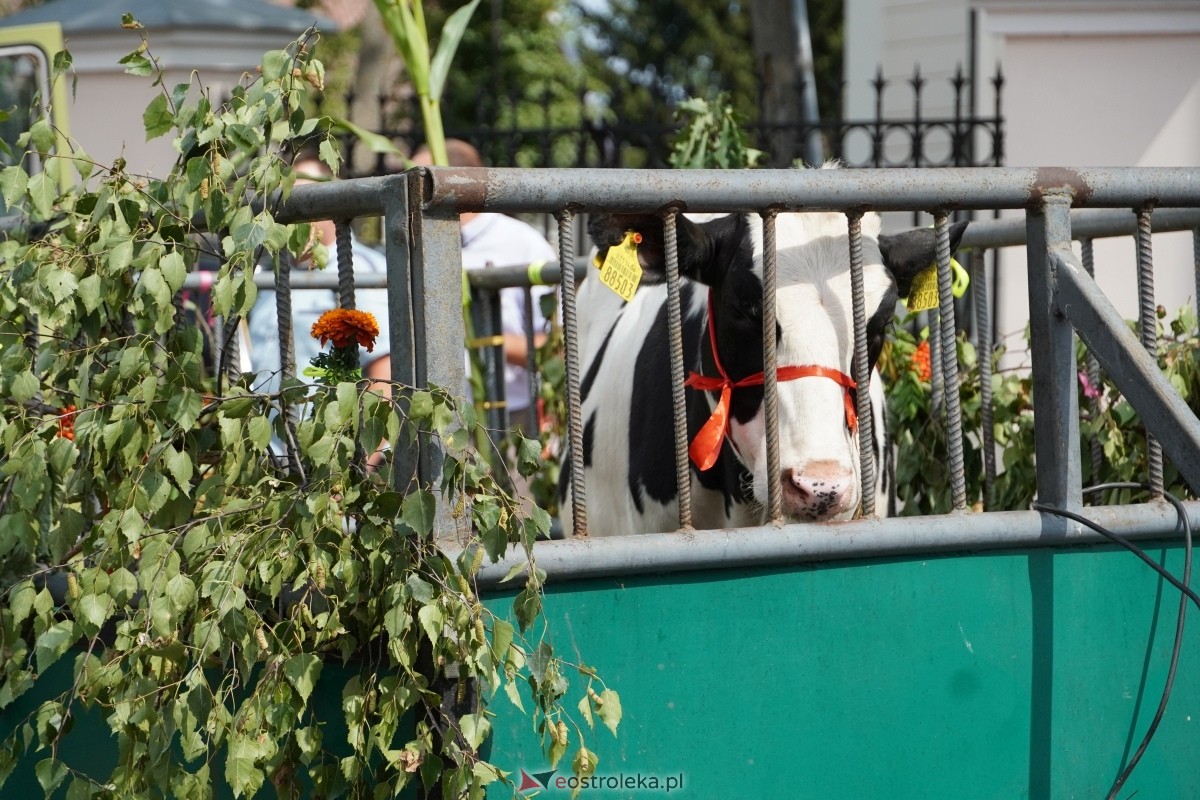 Odpust św. Rocha w Kadzidle [16.08.2024] - zdjęcie #9 - eOstroleka.pl