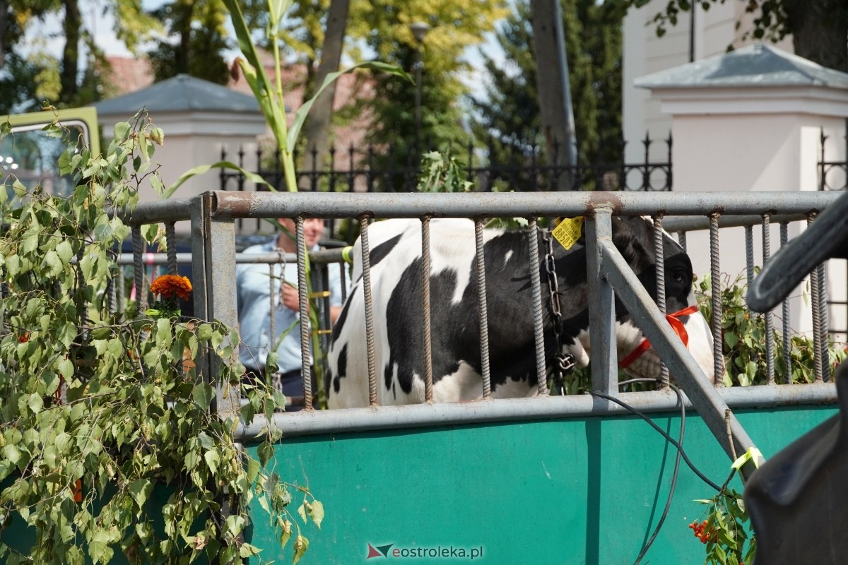 Odpust św. Rocha w Kadzidle [16.08.2024] - zdjęcie #7 - eOstroleka.pl
