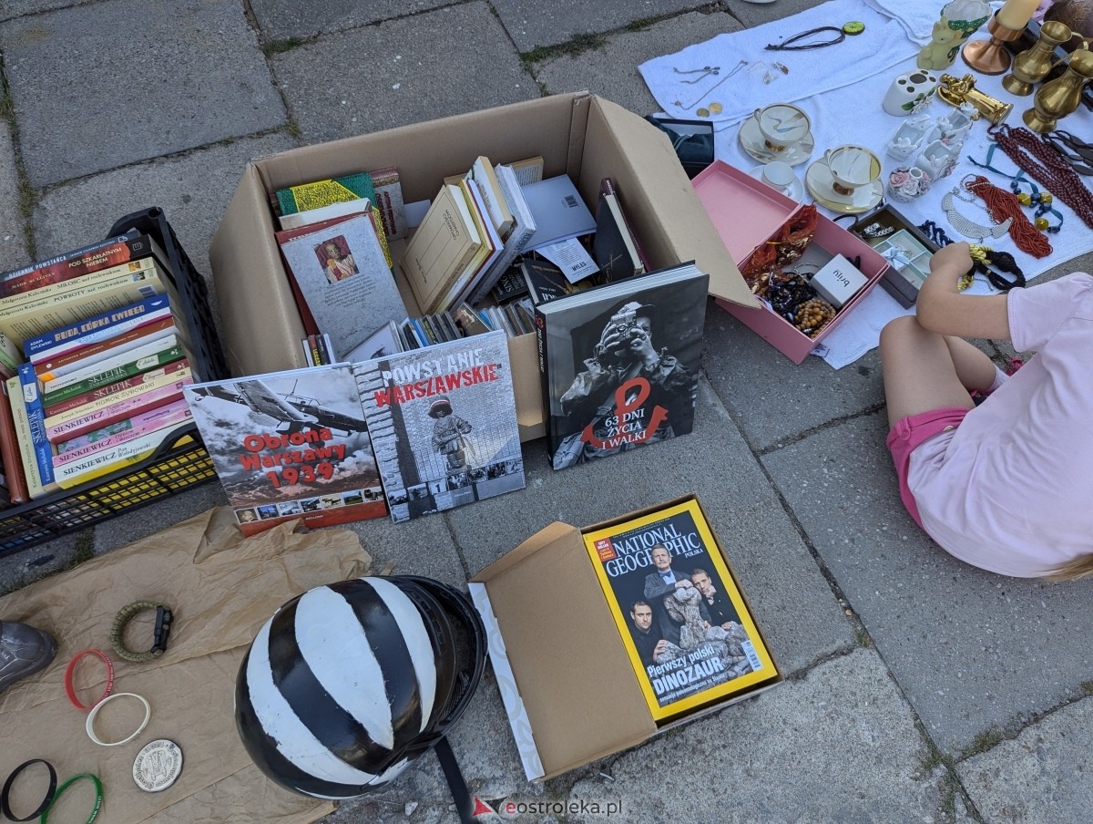 Pchli Targ w Ostrołęce [17.08.2024] - zdjęcie #167 - eOstroleka.pl