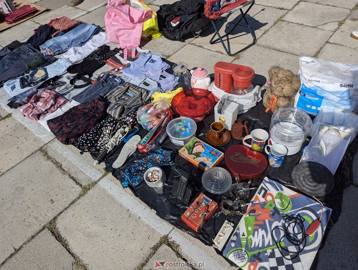 Pchli Targ w Ostrołęce [17.08.2024] - zdjęcie #157 - eOstroleka.pl