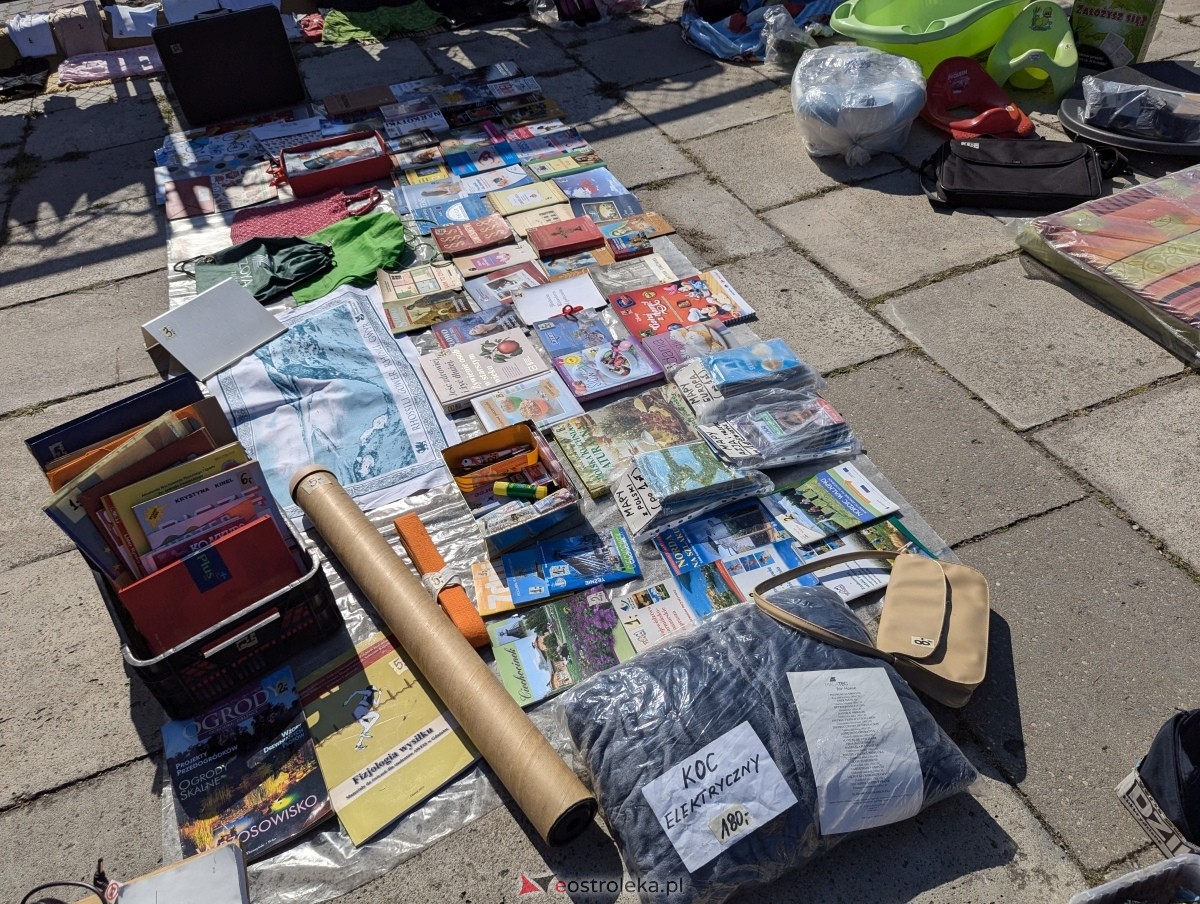 Pchli Targ w Ostrołęce [17.08.2024] - zdjęcie #146 - eOstroleka.pl