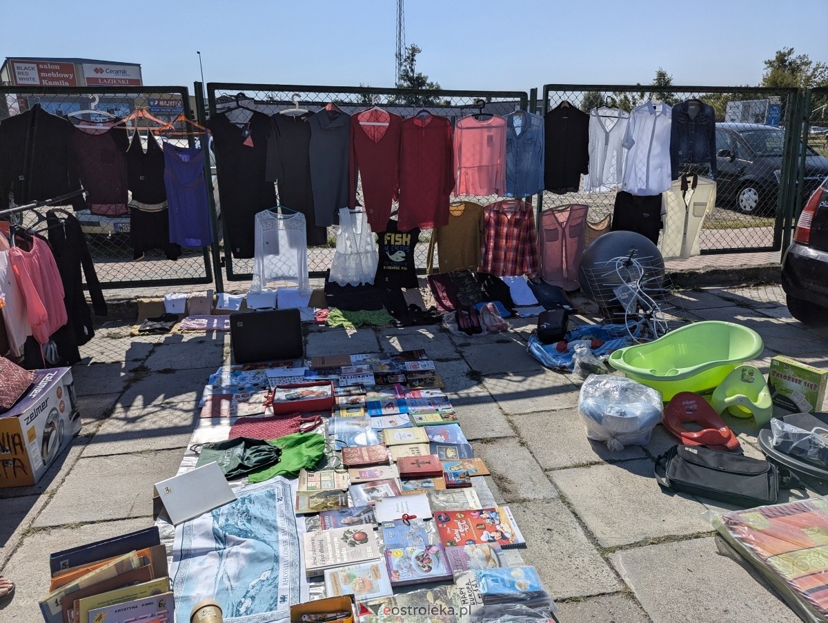 Pchli Targ w Ostrołęce [17.08.2024] - zdjęcie #144 - eOstroleka.pl