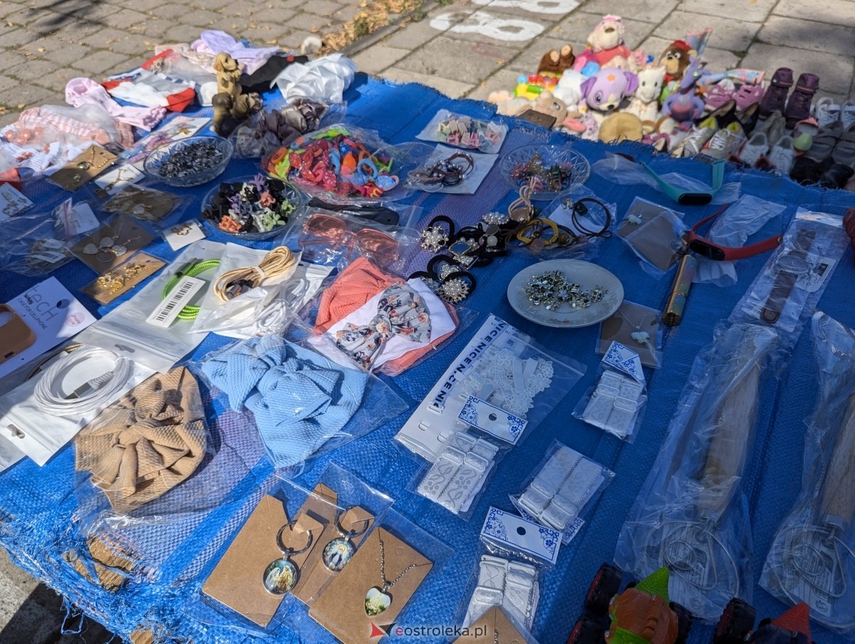 Pchli Targ w Ostrołęce [17.08.2024] - zdjęcie #67 - eOstroleka.pl
