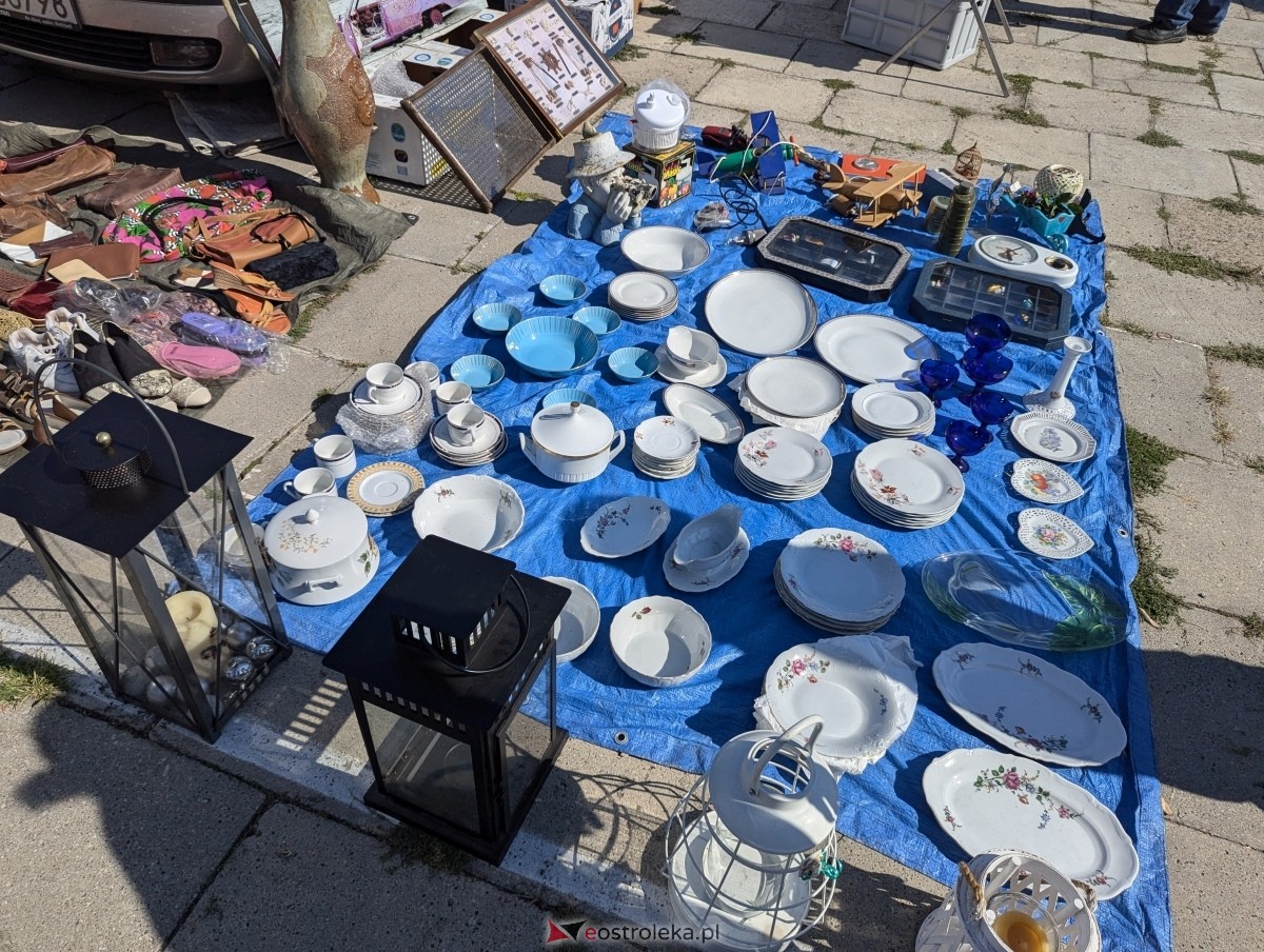 Pchli Targ w Ostrołęce [17.08.2024] - zdjęcie #54 - eOstroleka.pl