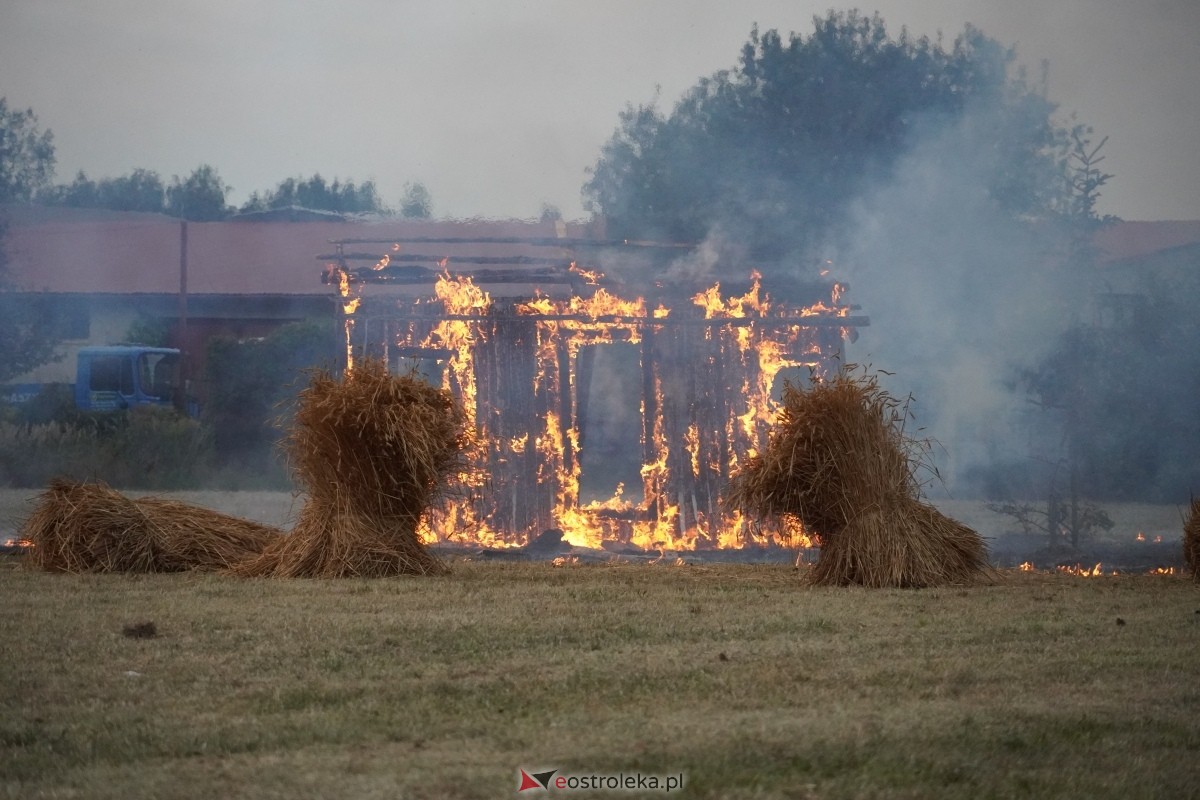 Rekonstrukcja historyczna Bolszewika goń! w Rzekuniu [17.08.2024] - zdjęcie #109 - eOstroleka.pl