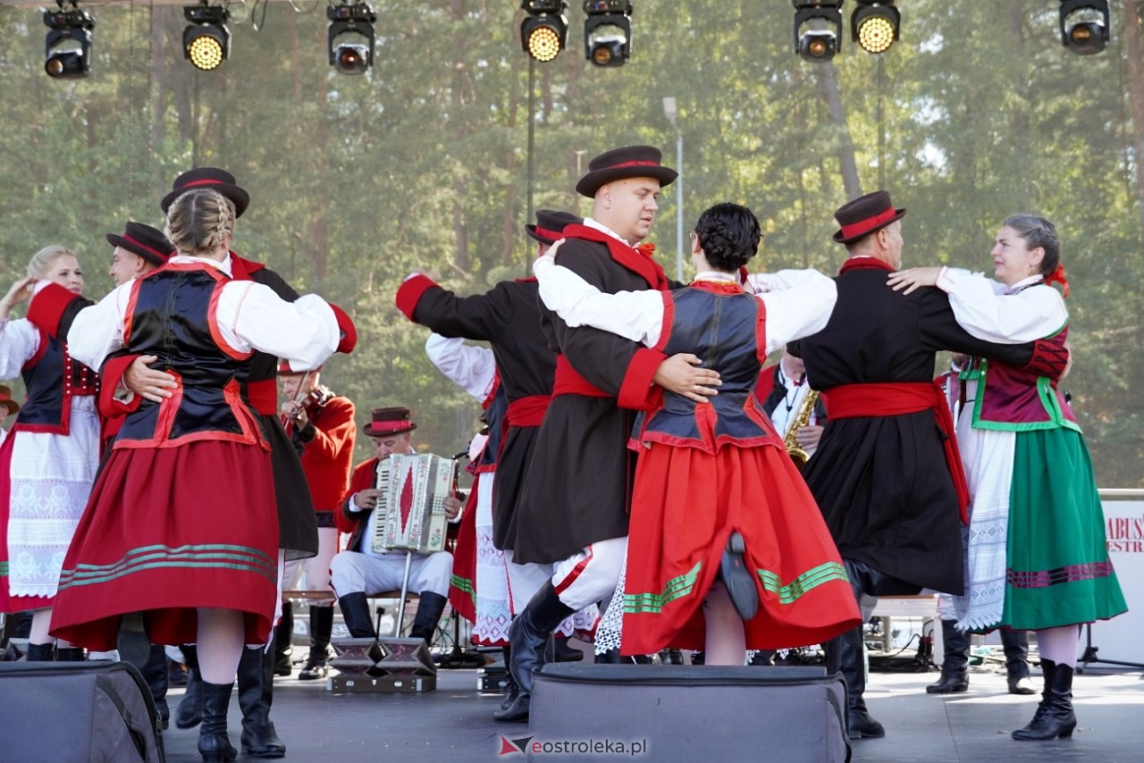 Dożynki gminne w Lelisie [18.08.2024] - zdjęcie #19 - eOstroleka.pl