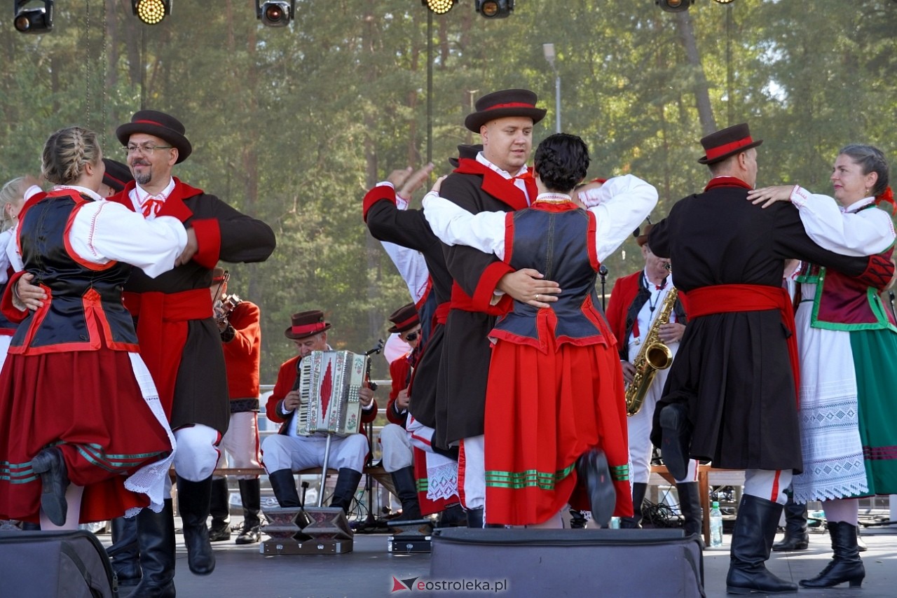 Dożynki gminne w Lelisie [18.08.2024] - zdjęcie #18 - eOstroleka.pl