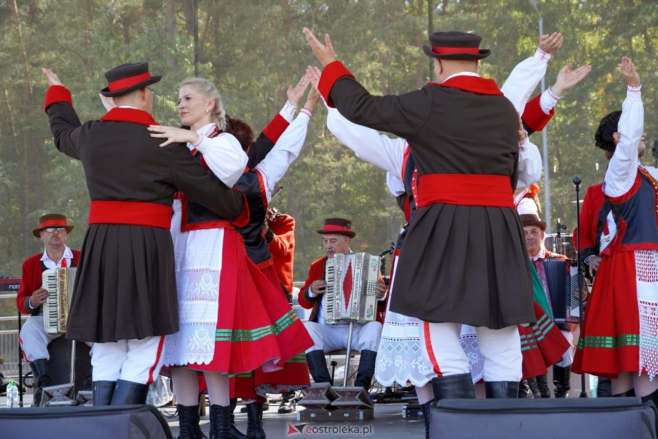 Dożynki gminne w Lelisie [18.08.2024] - zdjęcie #9 - eOstroleka.pl