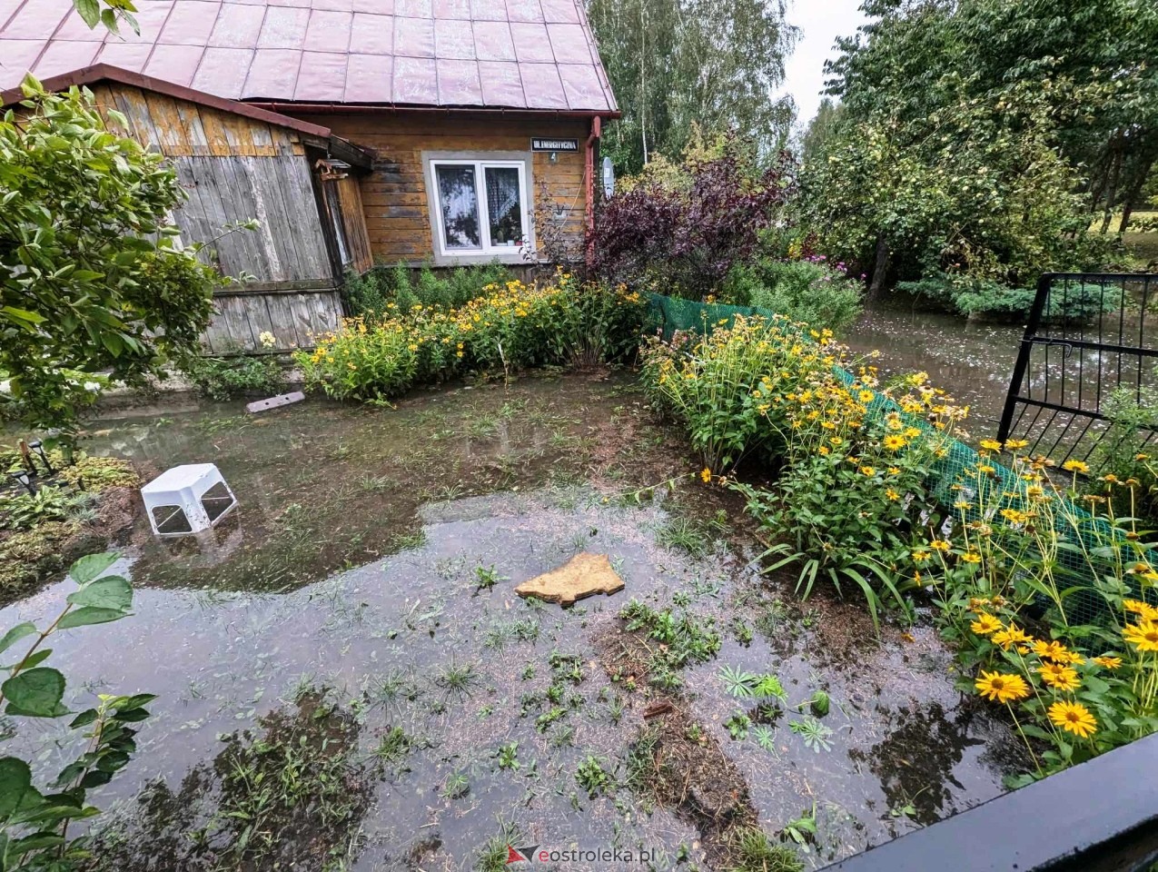 Zalana posesja przy Energetycznej [19.08.2024] - zdjęcie #4 - eOstroleka.pl