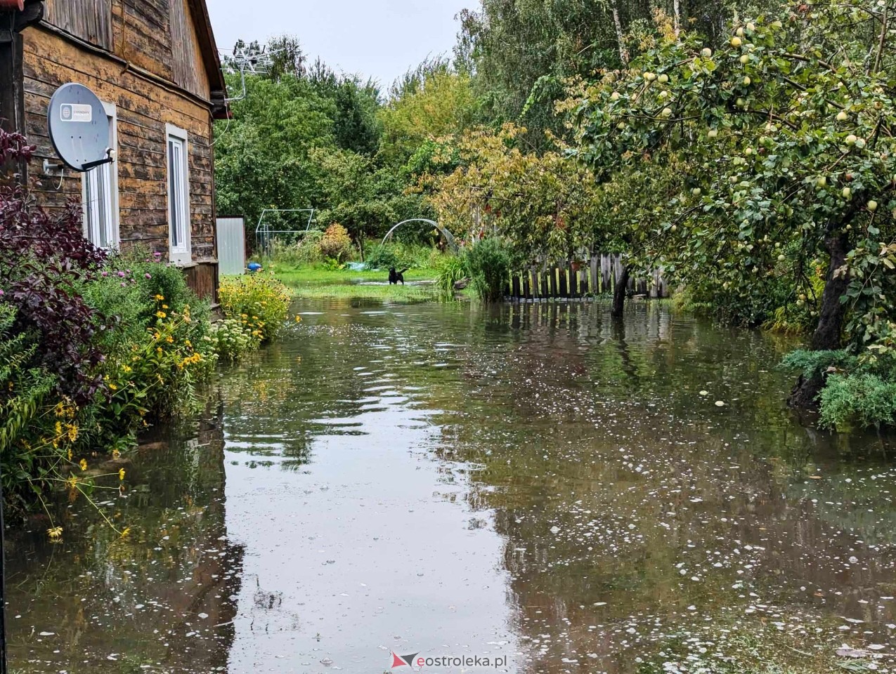 Zalana posesja przy Energetycznej [19.08.2024] - zdjęcie #8 - eOstroleka.pl