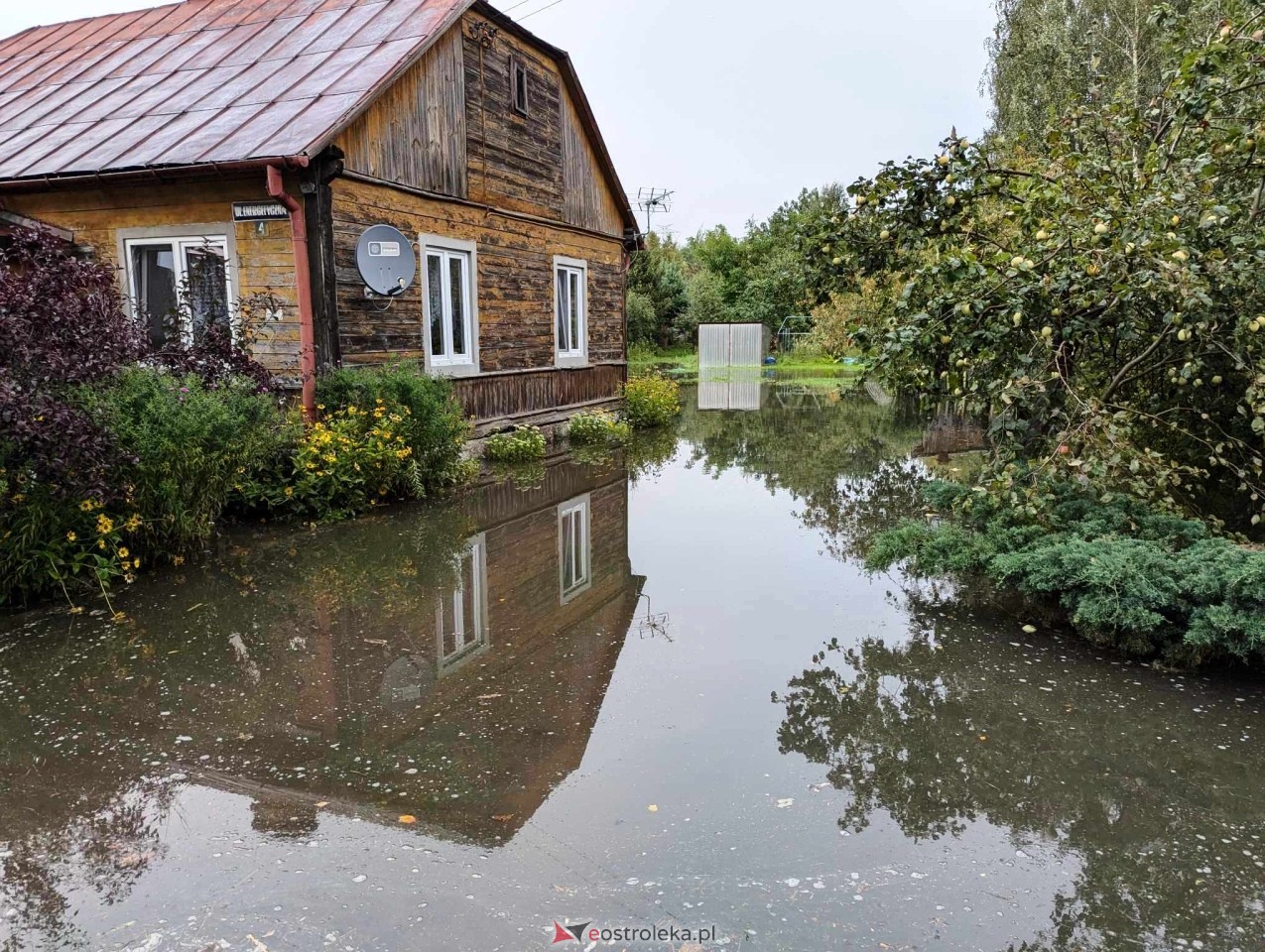 Zalana posesja przy Energetycznej [19.08.2024] - zdjęcie #10 - eOstroleka.pl