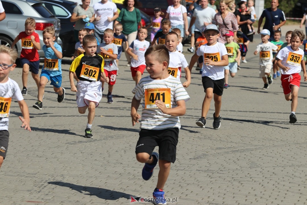 Bieg Miodobrania Kurpiowskiego 2024 [24.08.2024] - zdjęcie #200 - eOstroleka.pl