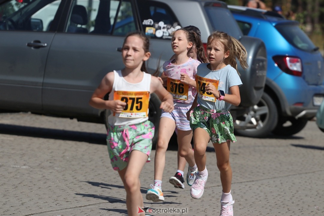 Bieg Miodobrania Kurpiowskiego 2024 [24.08.2024] - zdjęcie #163 - eOstroleka.pl