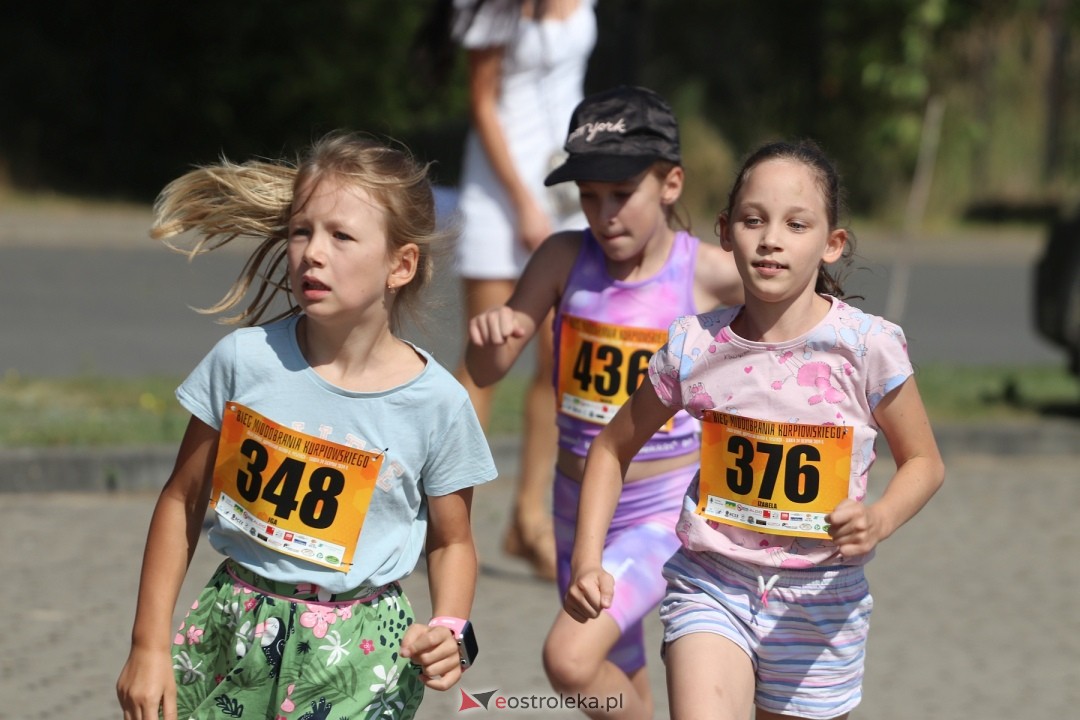 Bieg Miodobrania Kurpiowskiego 2024 [24.08.2024] - zdjęcie #162 - eOstroleka.pl