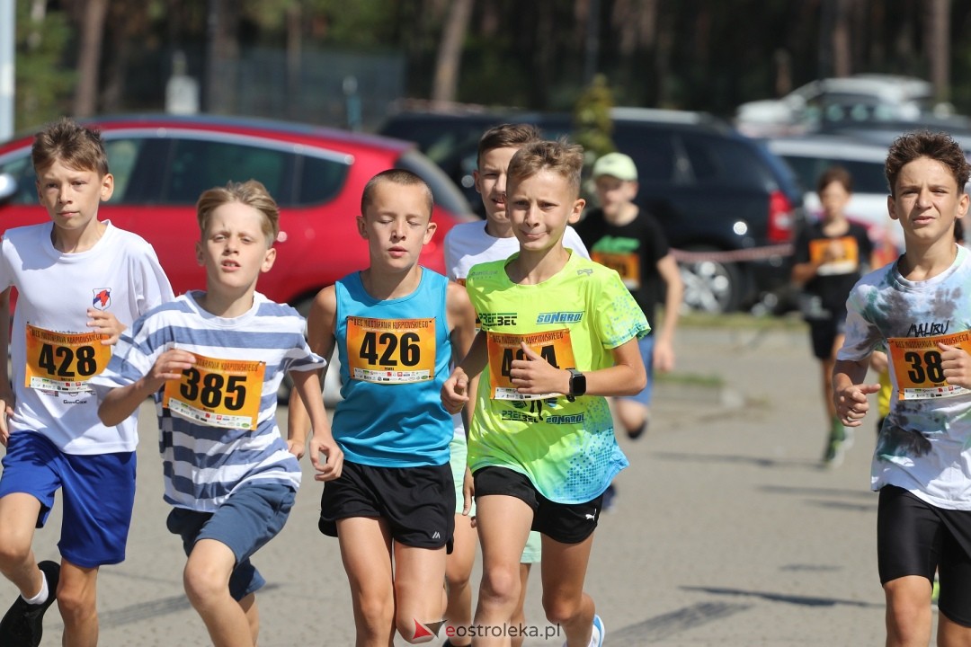 Bieg Miodobrania Kurpiowskiego 2024 [24.08.2024] - zdjęcie #104 - eOstroleka.pl