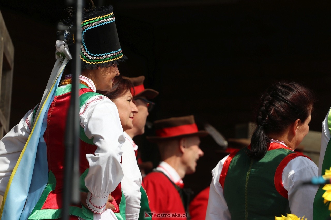 Miodobranie Kurpiowskie 2024 - widowisko folklorystyczne [24.08.2024] - zdjęcie #19 - eOstroleka.pl
