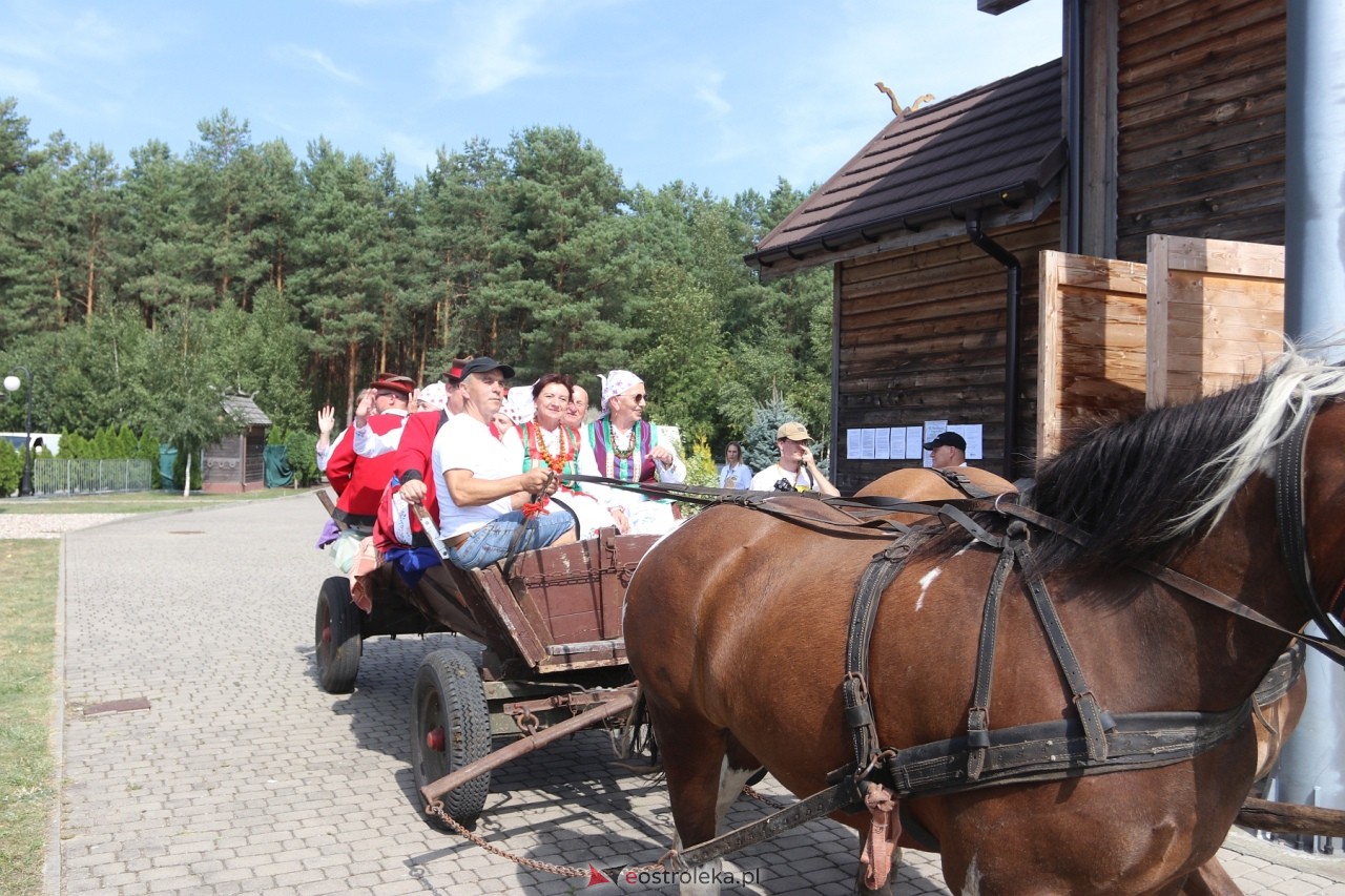 Miodobranie Kurpiowskie 2024 [25.08.2024] - zdjęcie #128 - eOstroleka.pl