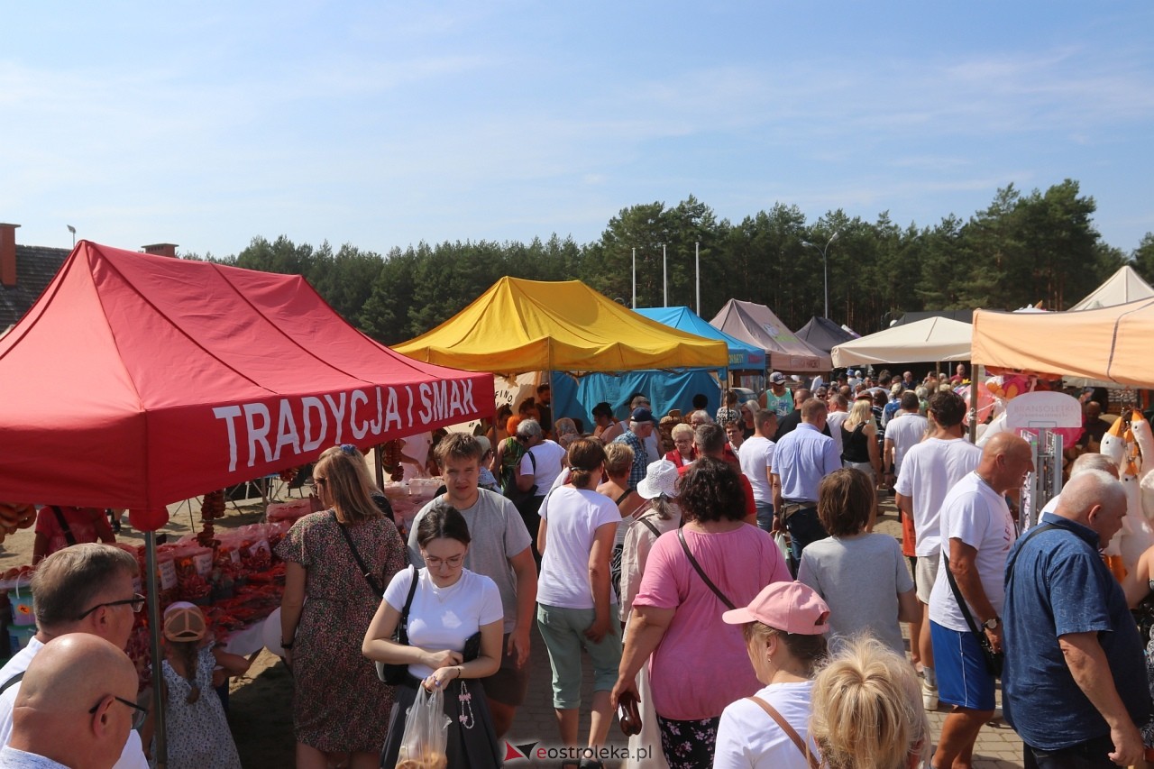 Miodobranie Kurpiowskie 2024 [25.08.2024] - zdjęcie #6 - eOstroleka.pl
