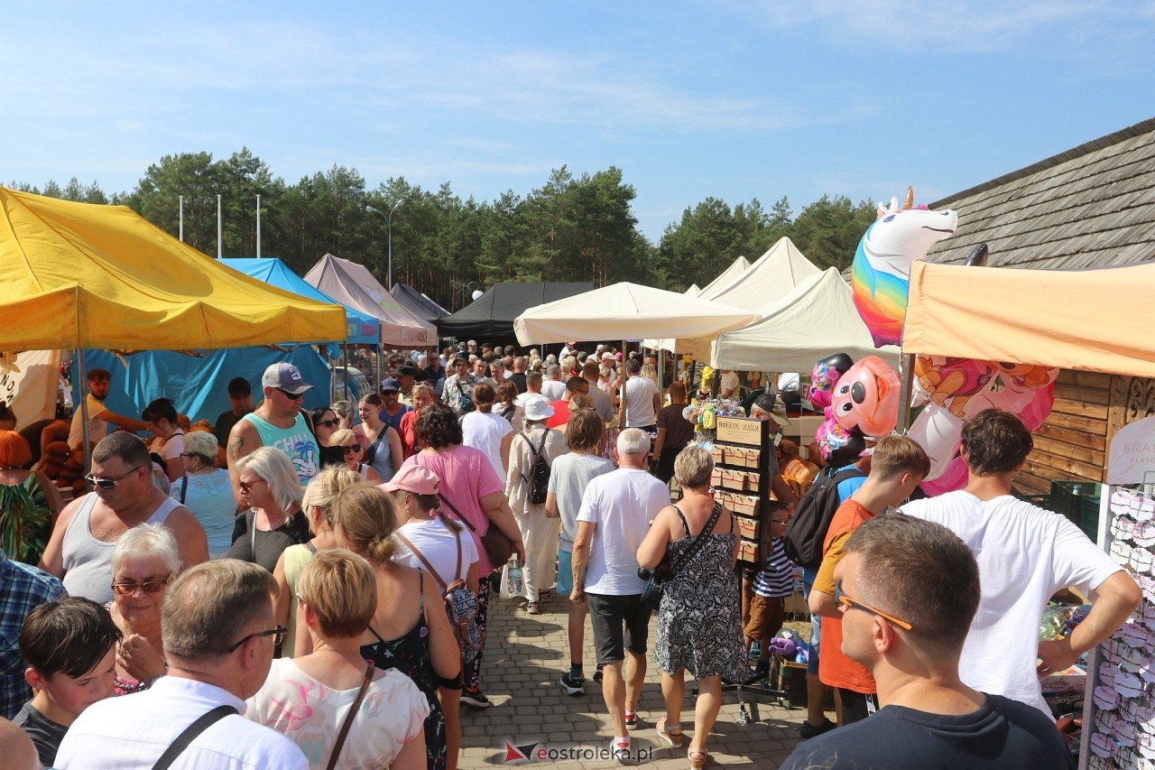 Miodobranie Kurpiowskie 2024 [25.08.2024] - zdjęcie #4 - eOstroleka.pl
