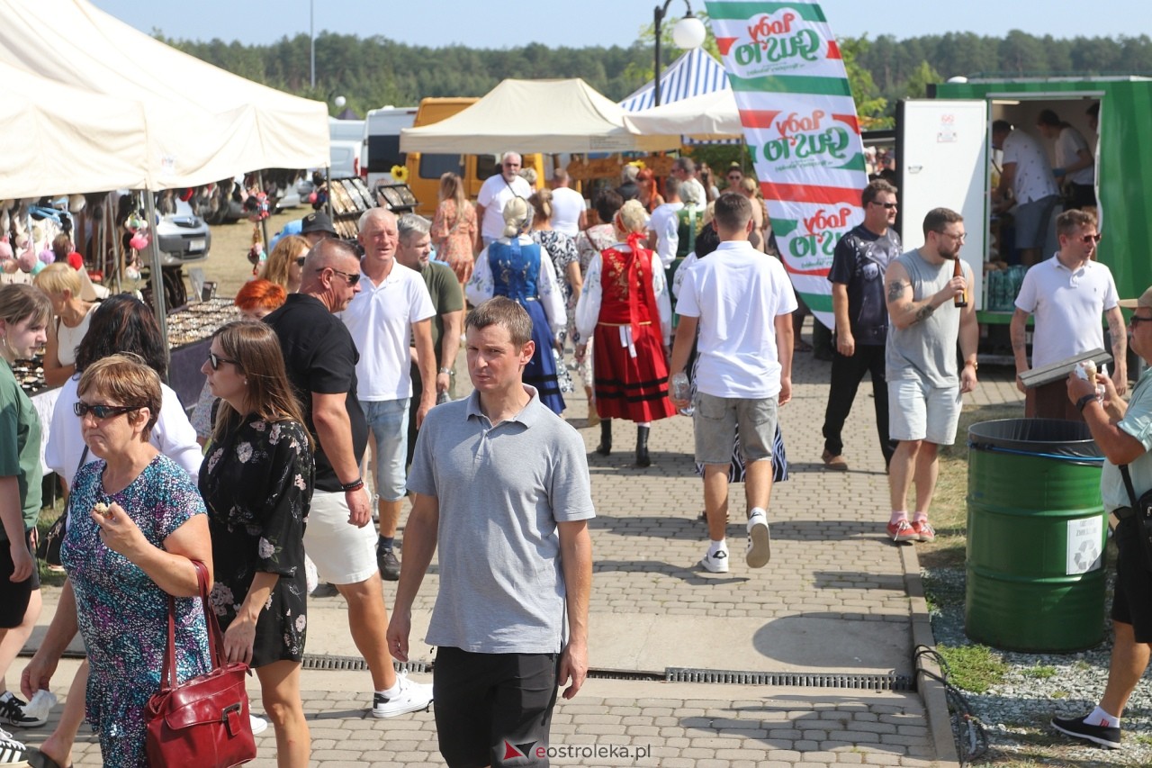 Miodobranie Kurpiowskie 2024 [25.08.2024] - zdjęcie #3 - eOstroleka.pl