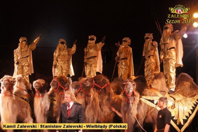 Cyrk Zalewski (23 VII 2011) - zdjęcie #9 - eOstroleka.pl