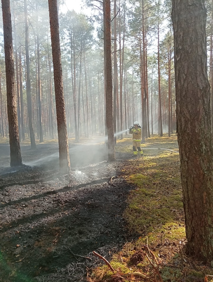Dromader w akcji! Pożar lasu w Wachu [27.09.2024] - zdjęcie #15 - eOstroleka.pl