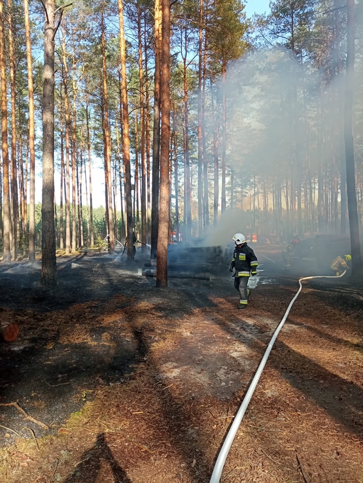 Dromader w akcji! Pożar lasu w Wachu [27.09.2024] - zdjęcie #13 - eOstroleka.pl