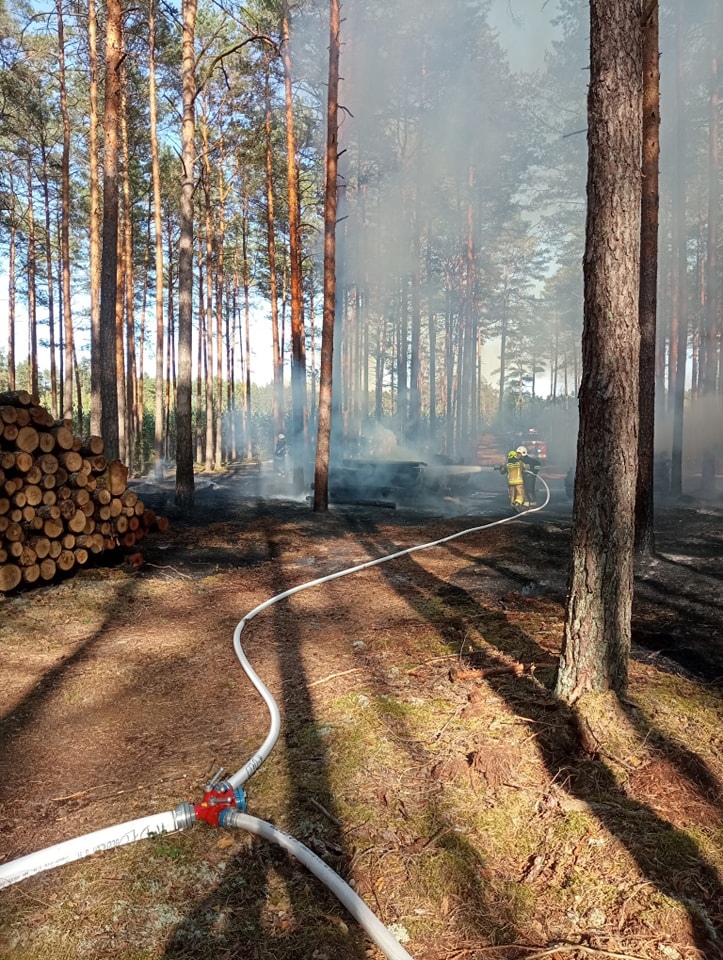 Dromader w akcji! Pożar lasu w Wachu [27.09.2024] - zdjęcie #11 - eOstroleka.pl